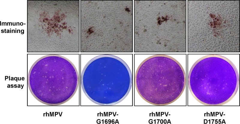 FIG 3