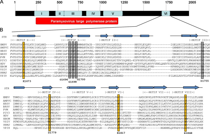 FIG 1