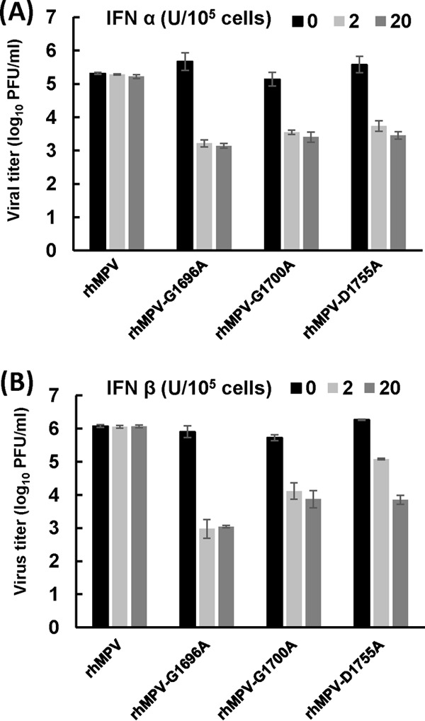 FIG 13