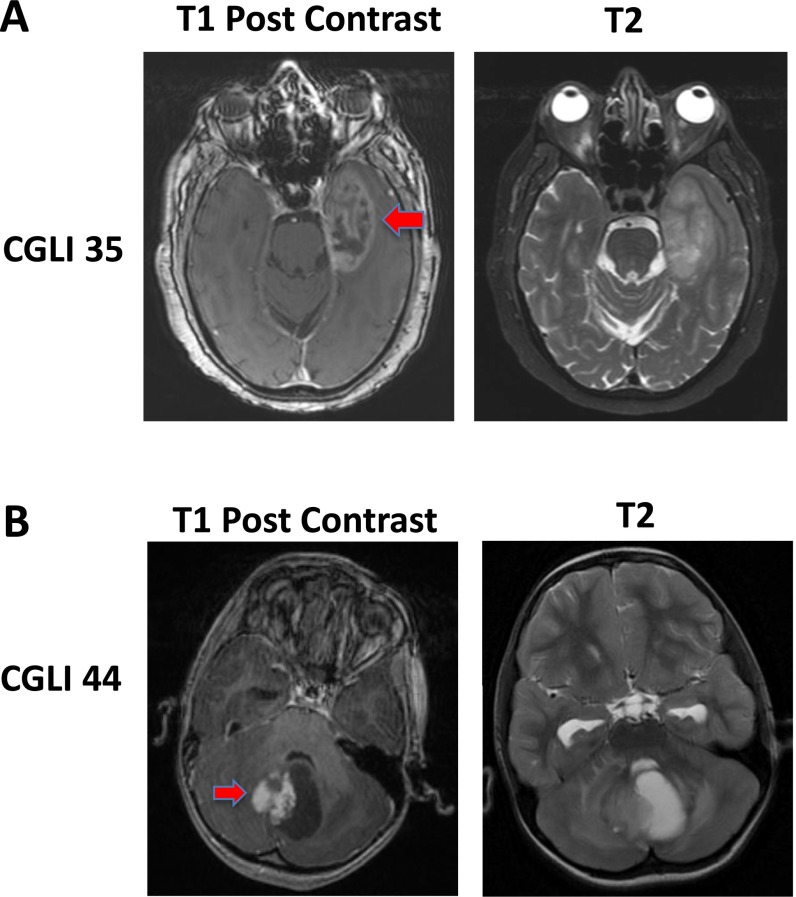 Fig. S1.