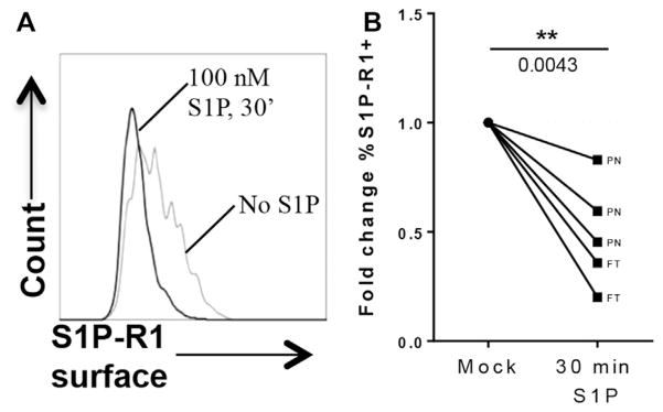 FIG 4