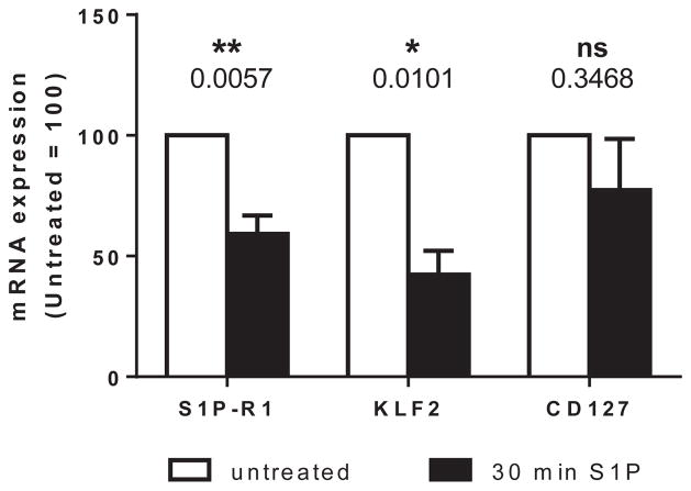 FIG 5