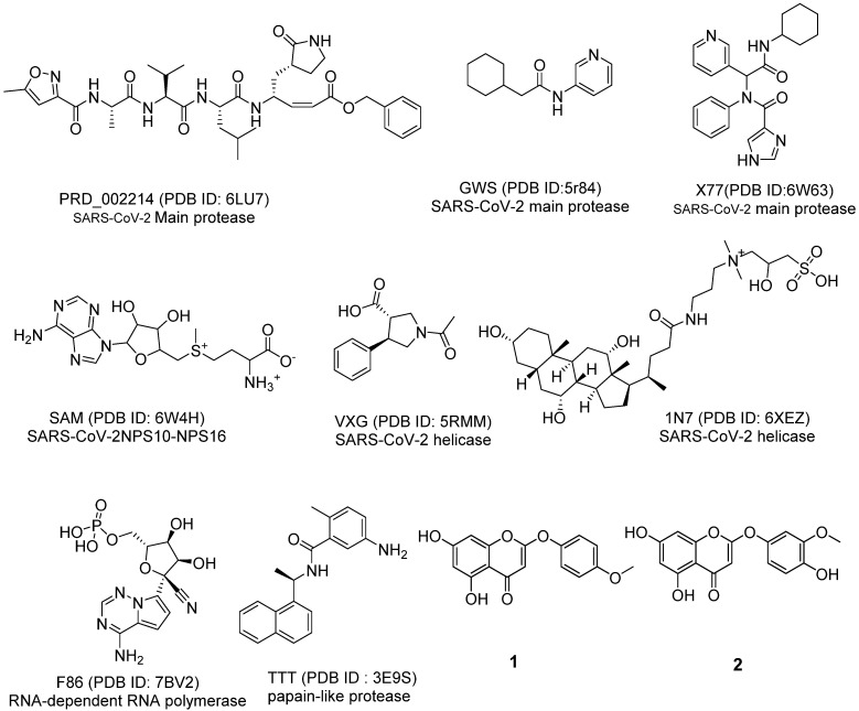 Figure 2