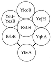 FIG. 7