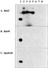 FIG. 6