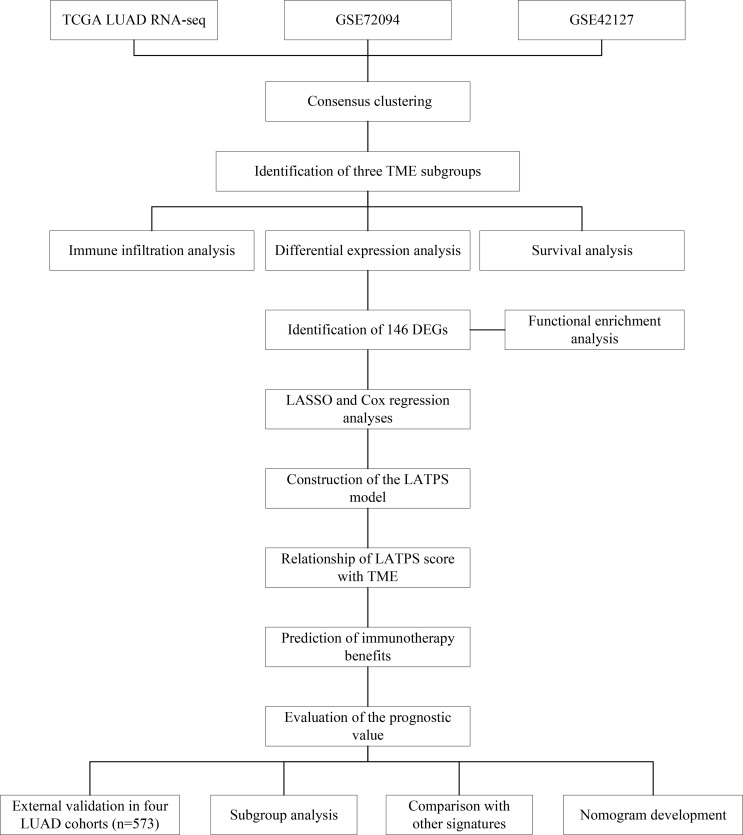 Figure 1