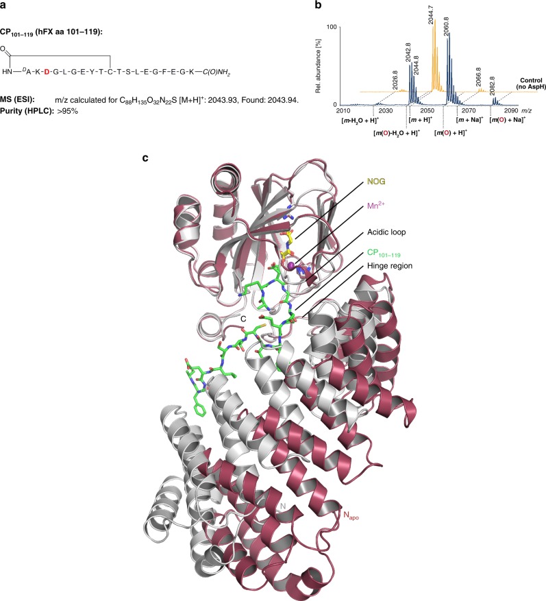 Fig. 6