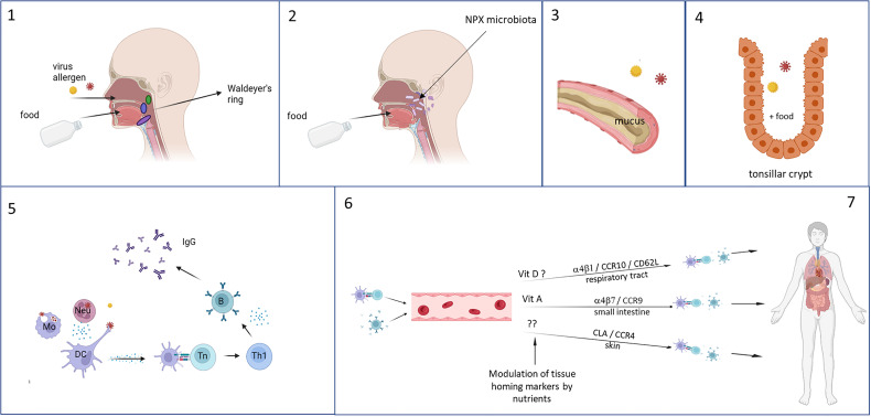 Figure 3