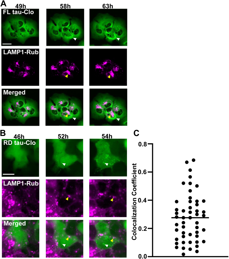 Figure 3