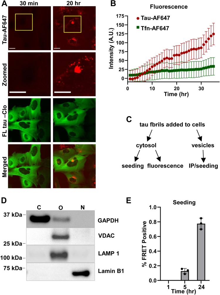 Figure 4