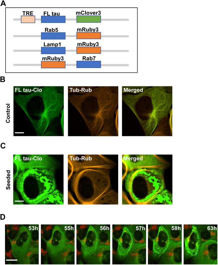 Figure 1