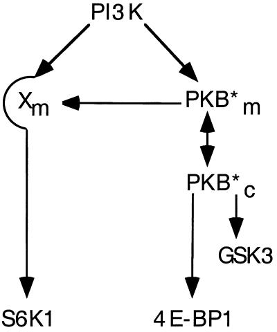 FIG. 8