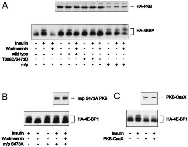 FIG. 7