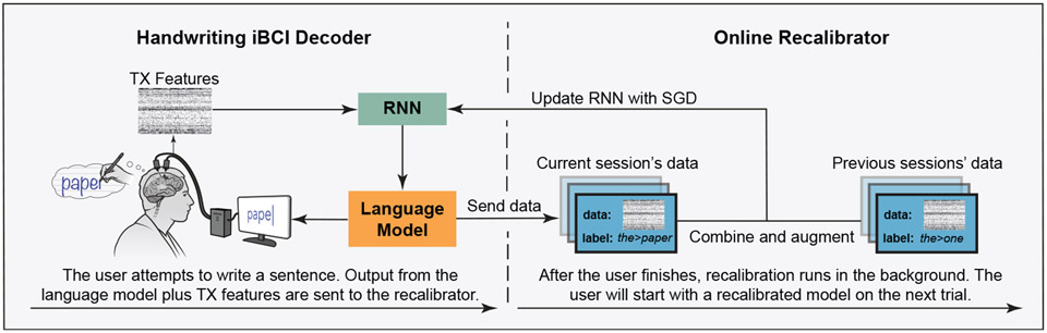 Figure 1: