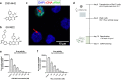 FIG 1