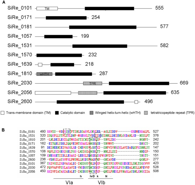 FIGURE 1