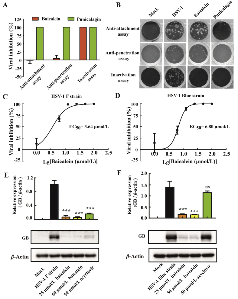 Figure 3