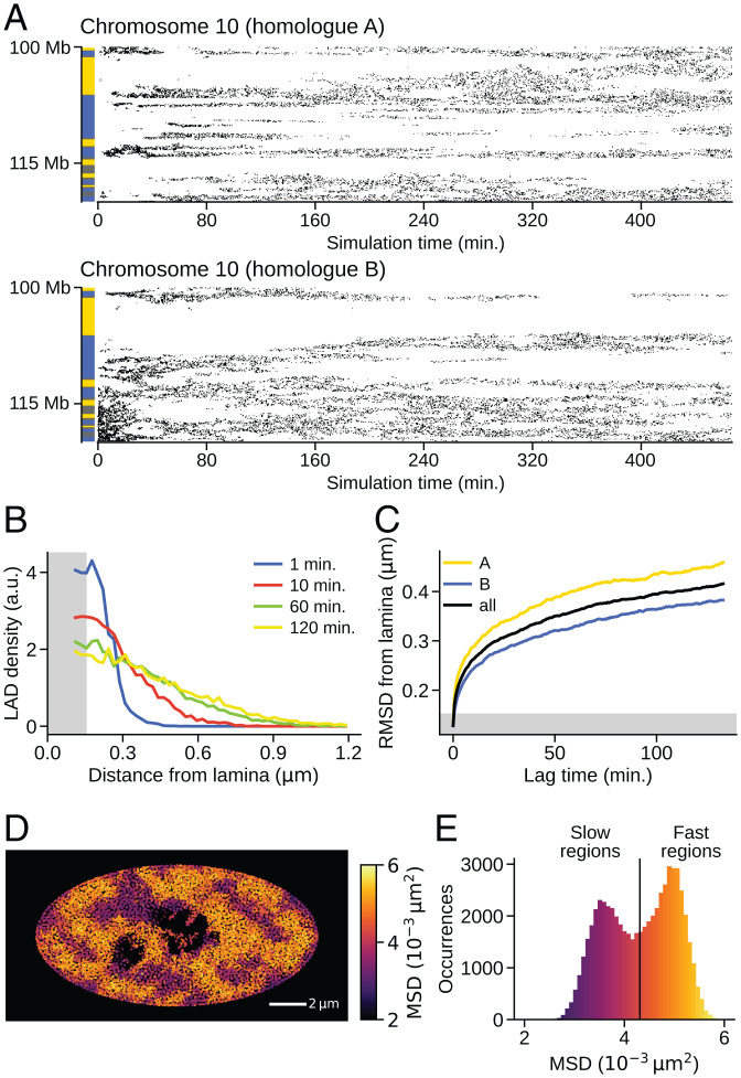 Fig. 8.