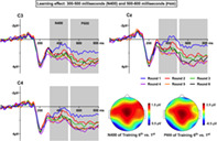 graphic file with name HBM-44-3717-g005.jpg