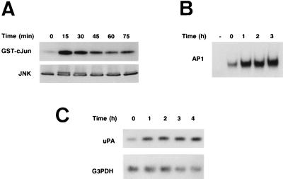 FIG. 7