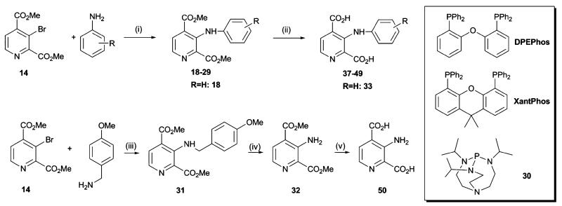 Scheme 4