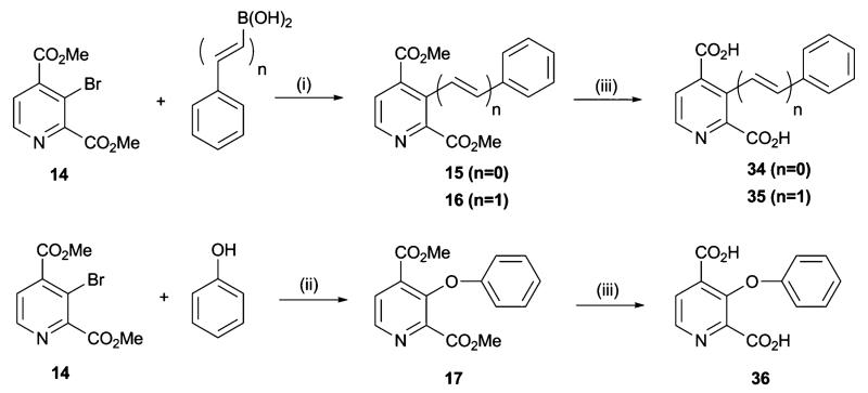 Scheme 3