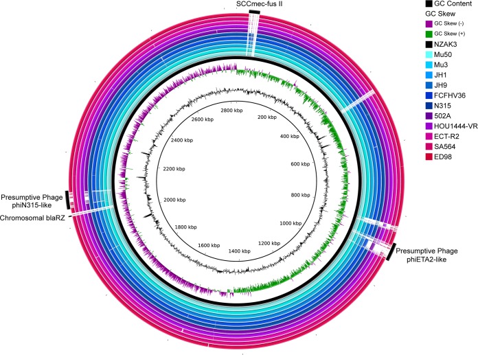 FIG 1