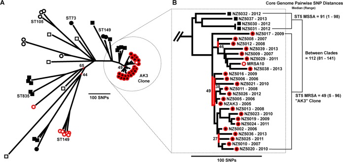 FIG 2