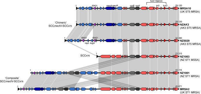 FIG 3