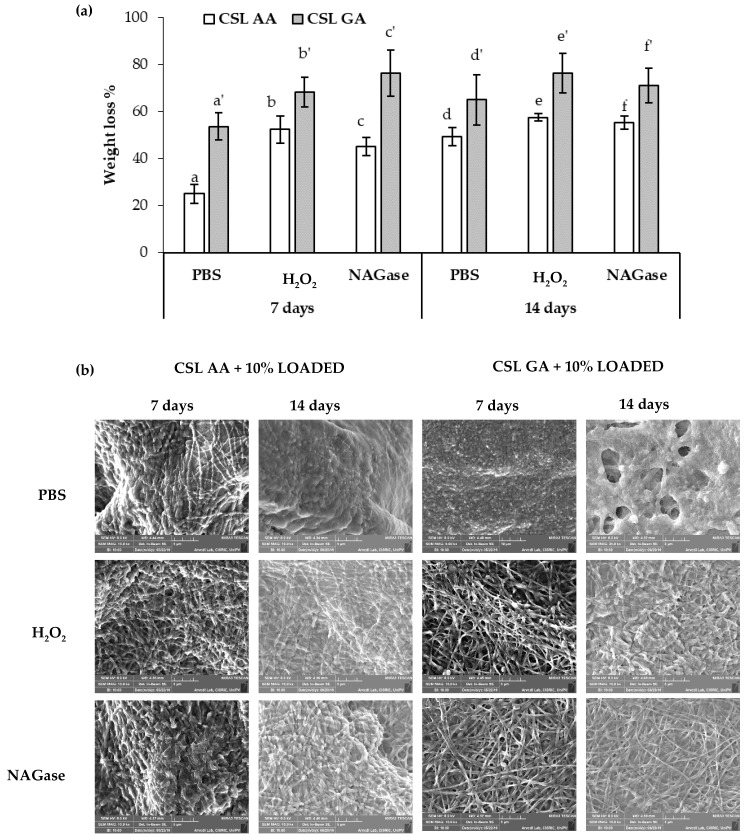 Figure 13