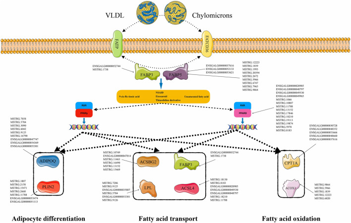 FIGURE 6