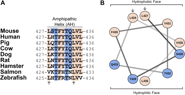 Figure 1