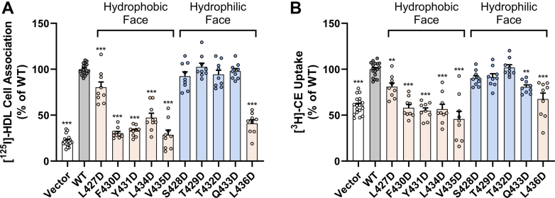 Figure 6