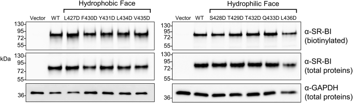 Figure 4