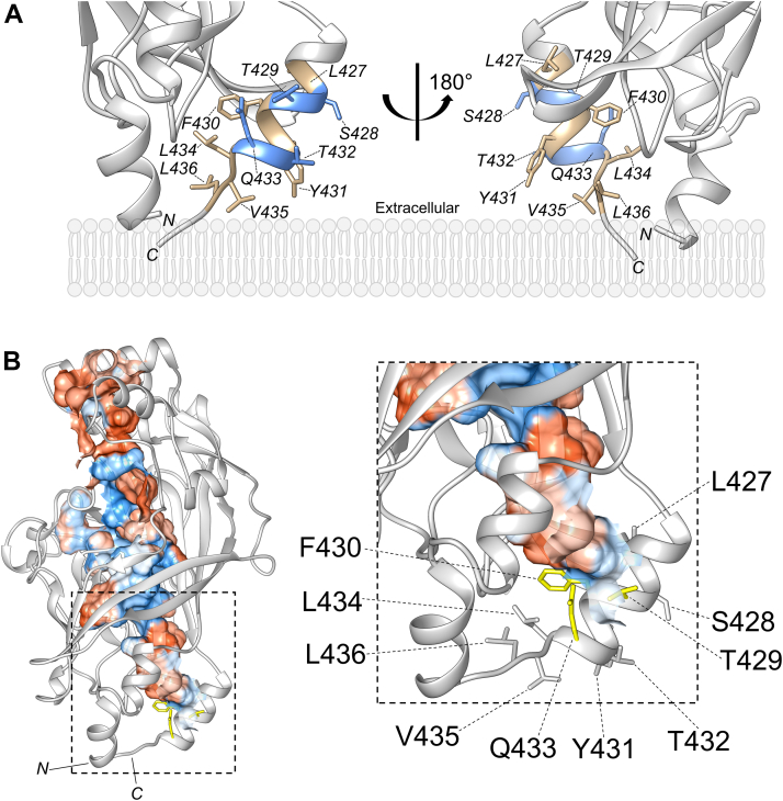 Figure 2