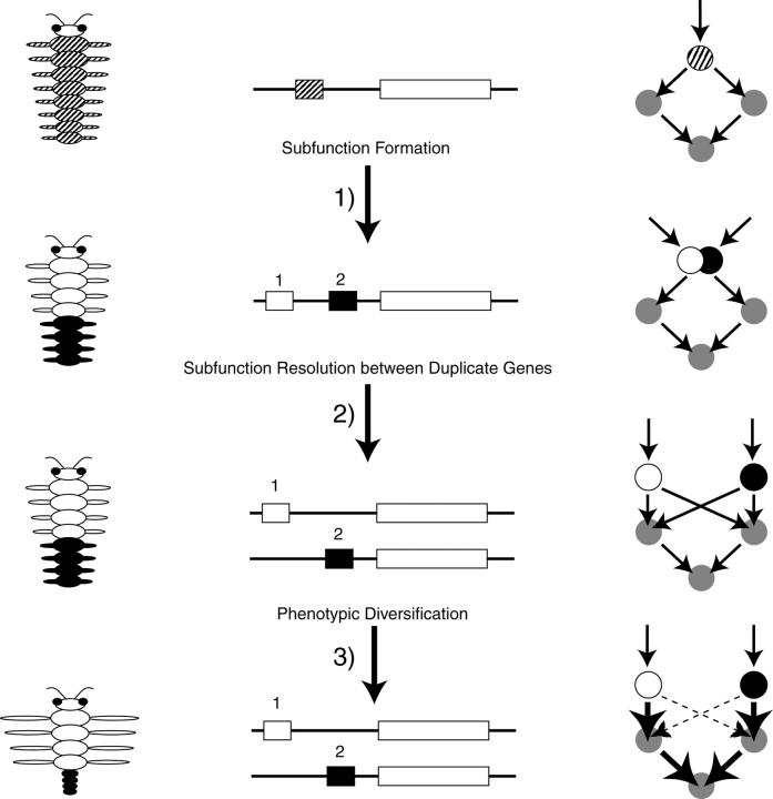 Figure 10.—