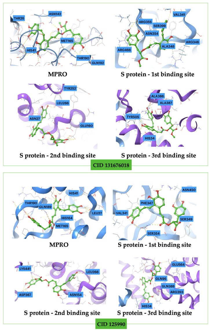 Figure 13