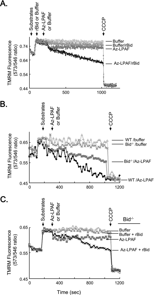 FIGURE 7.