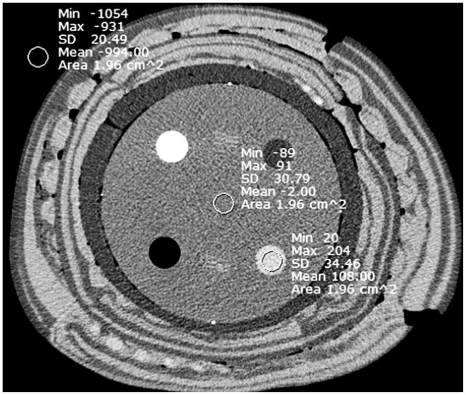 Fig. 2