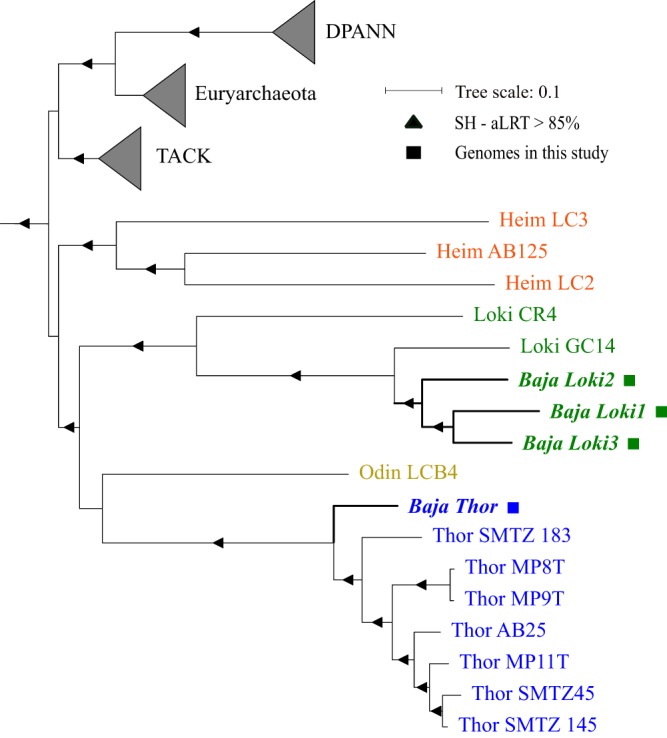 FIG 2