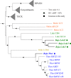 FIG 2