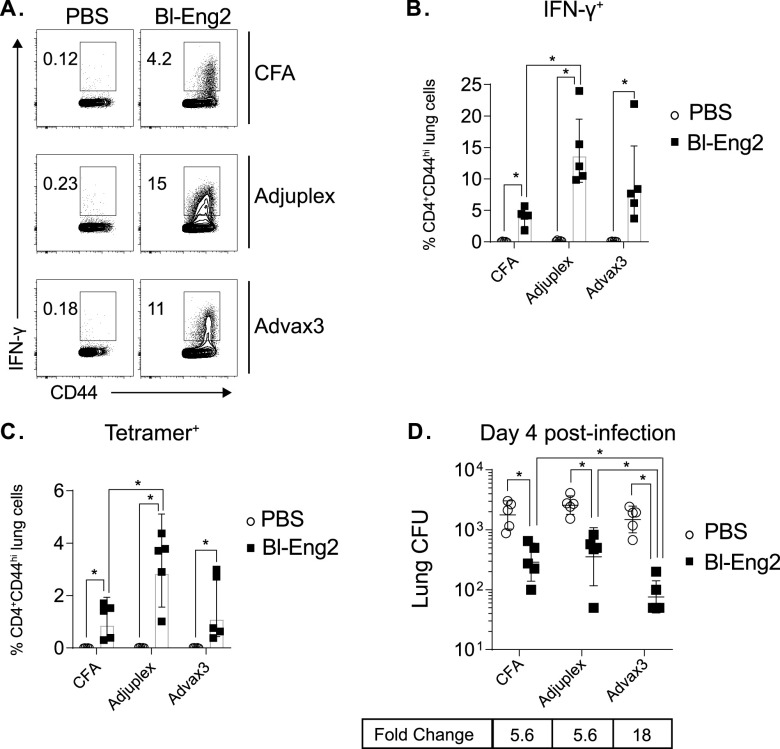 FIG 2