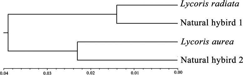 Fig. 6