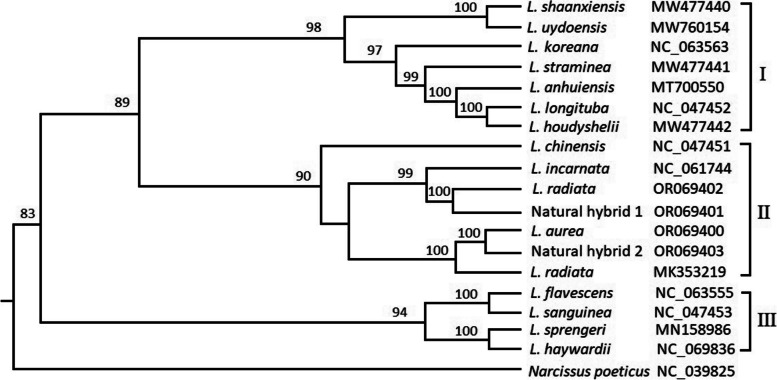 Fig. 7