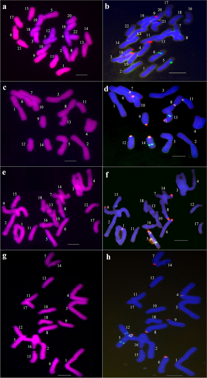Fig. 2