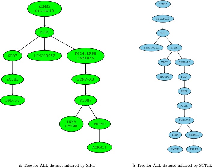 Fig. 10