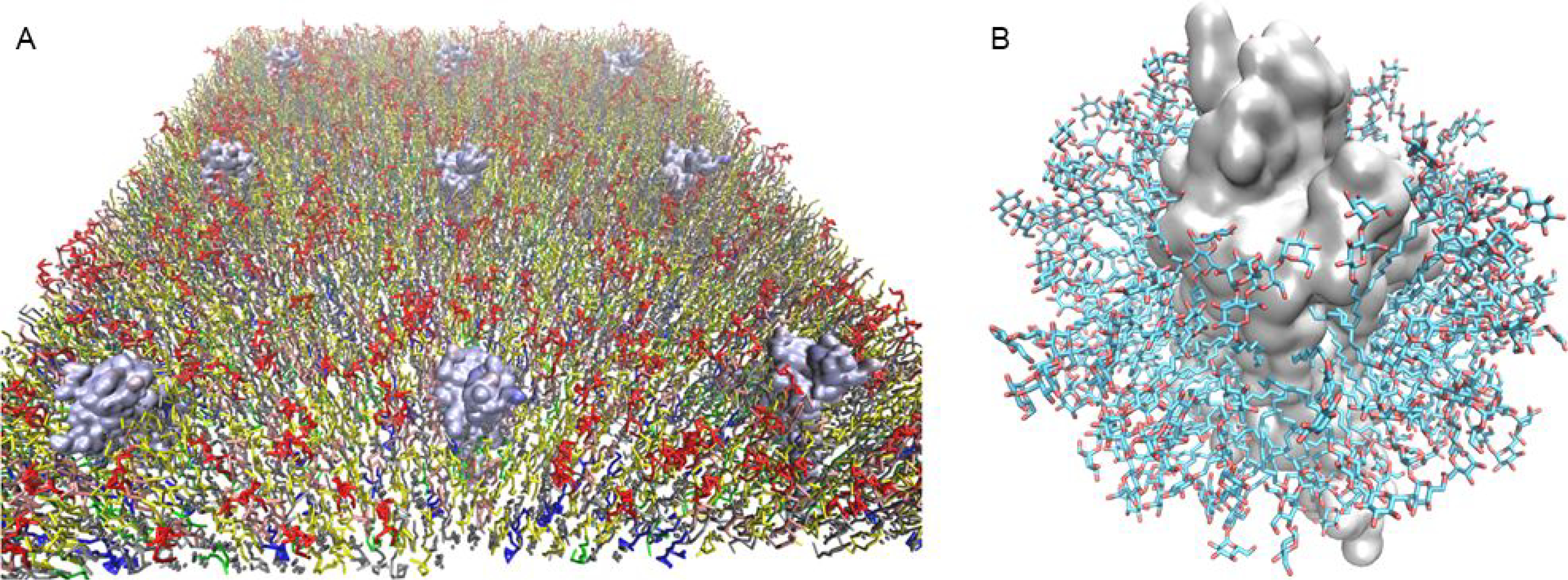 Figure 1 A.