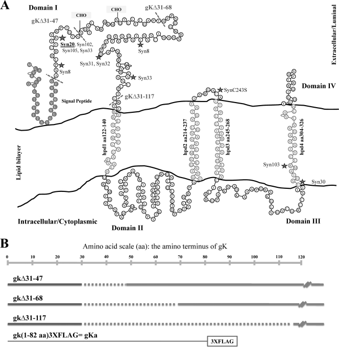 FIG. 1.