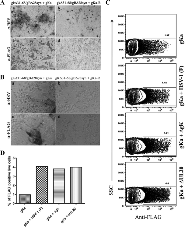 FIG. 7.