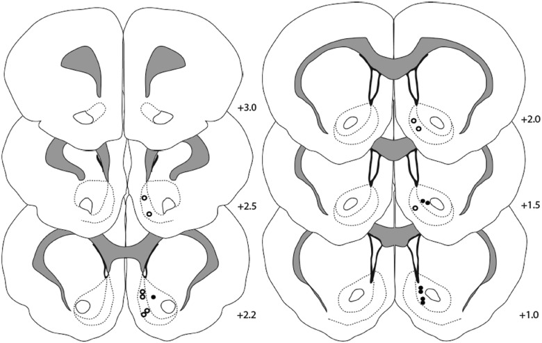 Fig. 6.